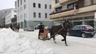 Os tren&oacute;s de Schlitteda, t&iacute;picos do vale Engadina em St  Moritz, Su&iacute;&ccedil;a.