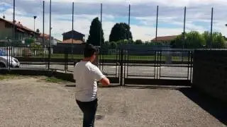 inseparabili allevati a mano del mio allevamento