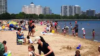 Beach Summer Background Sound Effect - No Copyright