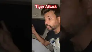 Tiger 🐅 Attack on car camping in jim Corbett national park Uttarakhand #tiger #animals #camping