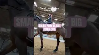 137 and 148 (almost horse😜) #horse #equestrian #funny #smallvsbig