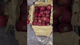 Top quality afghan apple in limited quantity 8/12/25 UP cold storage vashi #shortsfeed #apple #fruit