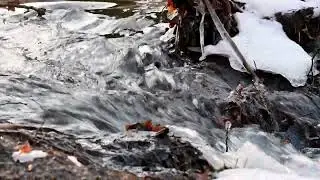 Flow to help you focus/study/work.