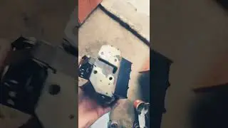 #animals #animalmoves#viralvideo #statar