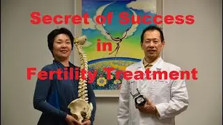Secret of Our Success in Fertility Treatment