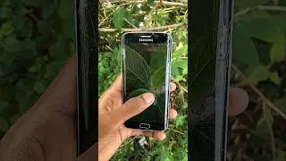 Samsung Galaxy s6 Edge 12MP ois vibration sensor camera test#nature#viralshort#