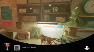 Even more stuff in stray.