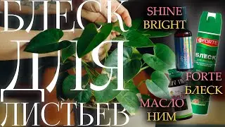 Выбираем блеск для листьев! Какой лучше?