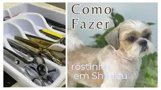Como fazer rostinho de  Shihtzu Parte 1 - cabeça e orelhas