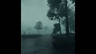 A Foggy Night, Blender