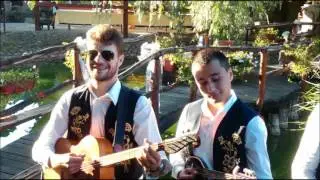 TS Kvinta - Lavanda