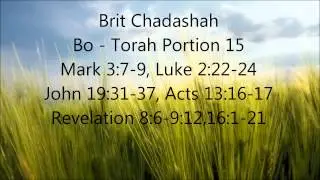 Bo Brit Chadashah Torah Portion 15