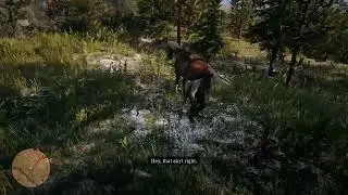 Sorry human -RDR2
