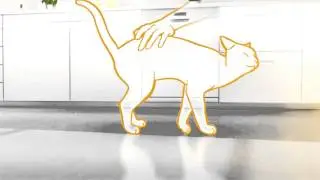 Tips to help stressed cats