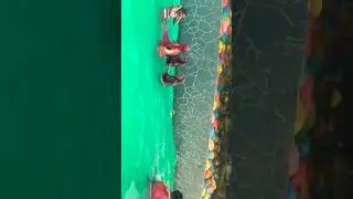 Magic paradise comilla #swimming #poolparty #comilla #foryou #shortvideo #copyright #cricket #shorts
