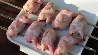 Шашлык из перепелов на мангале. Жареный перепел на шампурах
