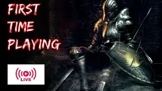 Firts time playing...Demon's Souls
