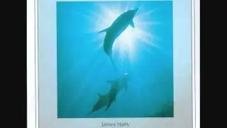06. Llewellyn (James Harry) - Into The Blue.wmv