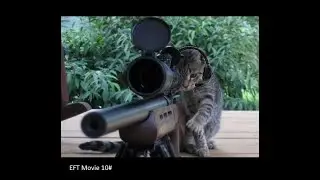 EFT Movie 10#