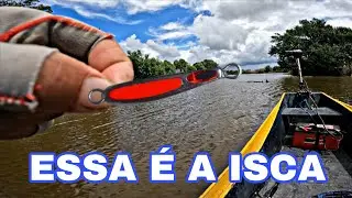 PRODUTIVIDADE na pescaria de Robalo com iscas artificiais, essas iscas s&atilde;o as melhores