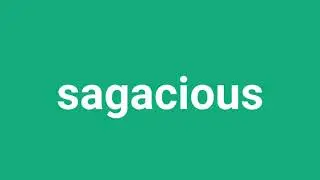 How To Pronounce Sagacious In American Accent