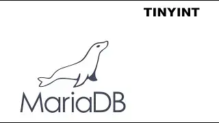 TINYINT Mariadb/Mysql