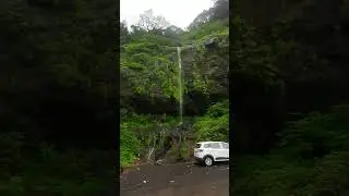Sahyadri In Monsoon | Maharashtra #nature #relaxing #morning #mountains #india #travel