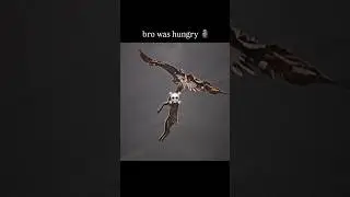Hungry eagle hunting deer