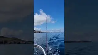Владивосток I love you #automobile #sailing #ocean
