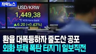 [자막뉴스] 환율 폭등 통제 불능하자 기업 줄도산 공포... 외화부채 터지기 일보직전 / 사건텔러