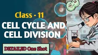 Cell cycle and cell division ||Detailed one shot || Free biology class || Biology class 11 