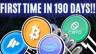 НЕВЕРОЯТНЫЙ ШАГ БИТКОИНА ЗА 190 ДНЕЙ! DAO Maker: масштабный шаг | CELO OPULOUS неостановим