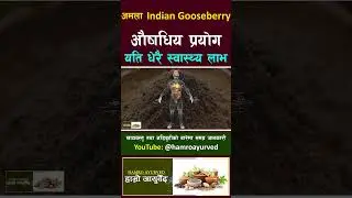 Use of Amala #food #ayurved #shorts #short #shortvideo #shortsfeed #shortvideo
