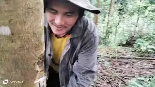 Chimchim siab heev li os nag muab kuv cov txab ya tsaug ta lawm