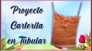 Proyecto Carterita en tubular