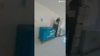 Today's dump