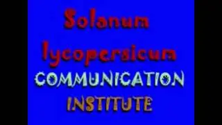 Nicholas Fedorov Music - Solanum Iycopersicum Communication Institute Theme 