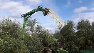 &Epsilon;&lambda;&alpha;&iota;&omicron;&rho;&alpha;&beta;&delta;&iota;&sigma;&tau;&iota;&kappa;ό ASQUINI