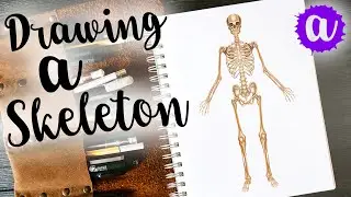 How to Draw a Skeleton #drawingtutorial