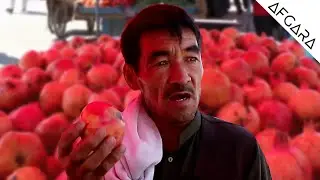 Kabul Afghanistan | افزایش میوه های تازه در بازار کابل | Afgara News