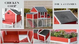 Chicken Coop: 49