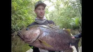 DRANCKRAZY Papuan Black Bass hunting  in Indonesia