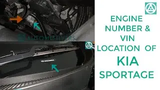 Engine Number & VIN Location of KIA SPORTAGE | Chassis & Engine Number