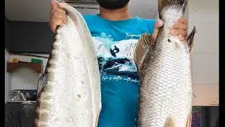 আমাদের দোকানে পাবেন ৩৫ রকমের ফ্রেশ মাছ  🐠ইলিশ, কাজলী, চিতল, ভেটকি, রুই, কাতলা, পাবদা, শিঙি, ইত্যাদি 