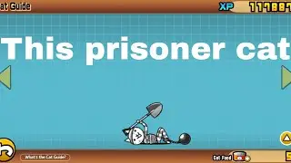 unlocking and beating prisoner cat