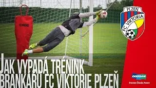 Jak vypadá trénink brankářů FC Viktorie Plzeň