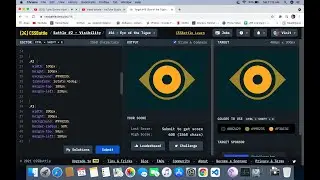 (CSS) #16 - Eye of The Tiger - CSSBATTLE.Dev Solution - Practice Session | Vinit Vijal | Study Spark