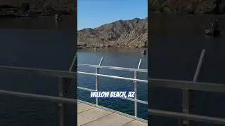 Our favorite place Willow Beach Arizona #arizonadesert #willowbeach #trouthatchery #fish #freshwater