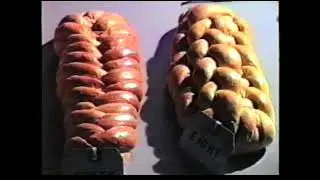 In 1986 IGKT Exhibited all the knots in Clifford Ashley's Book of Knots