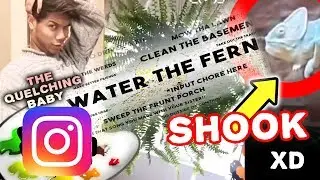 #4 Funny Instagram Stories | Clean Compilation @kaphonie64